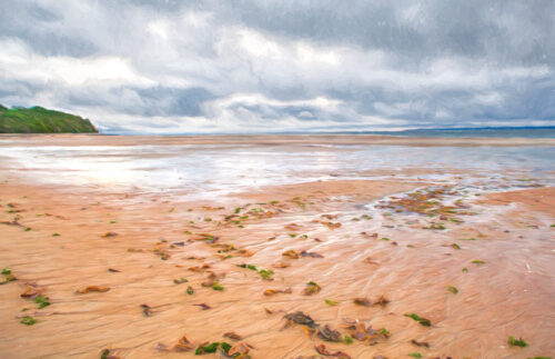 Vegetables from the Sea, Plum Island seascape