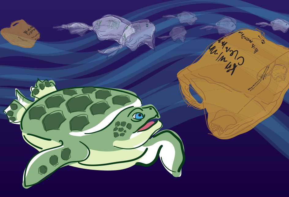 Turtles Plight with Plastic Bags