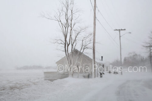 Ice Storm