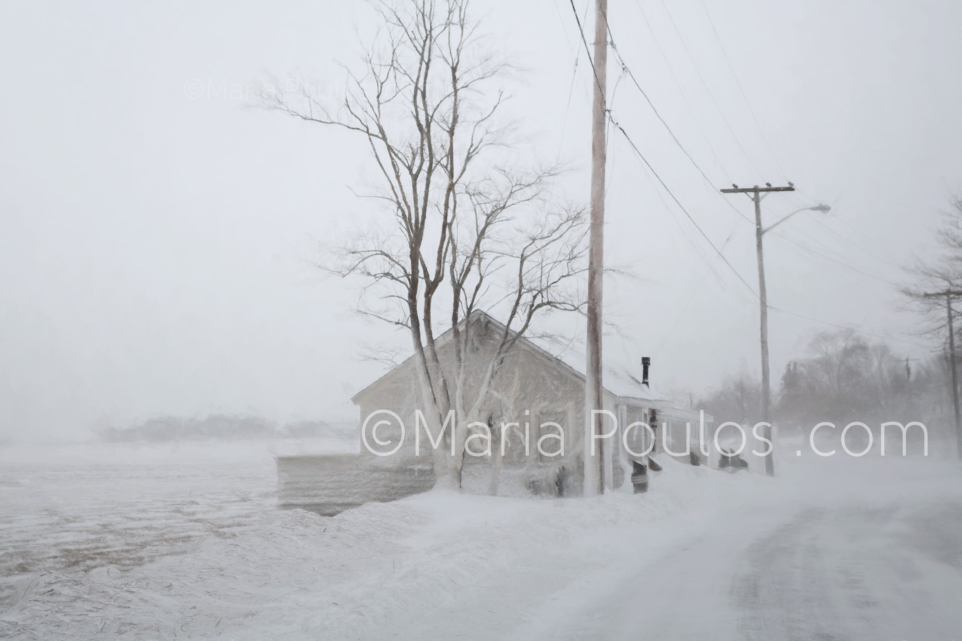 Ice Storm, Maria Poulos