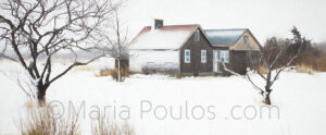 Marsh House Winter