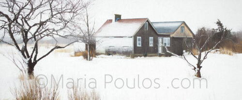 Marsh House Winter, Maria Poulos