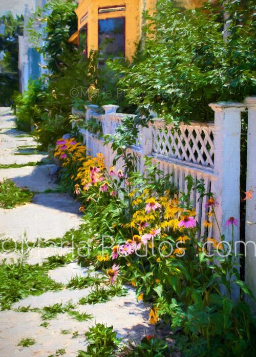 Fence with Purple Flowers