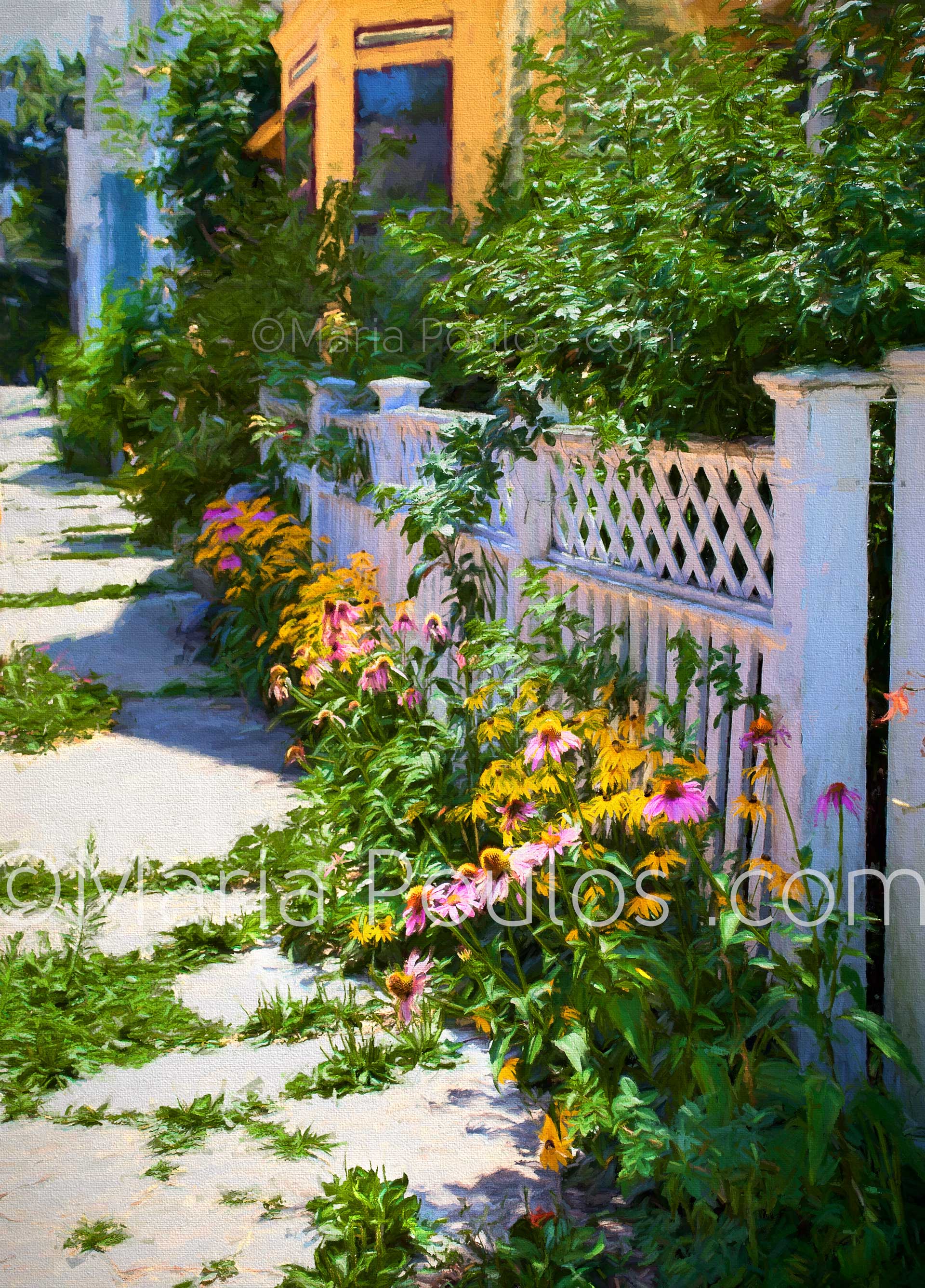 Fence with Purple flowers