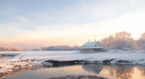 First Snow on Marsh