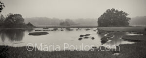 Newbury Marsh