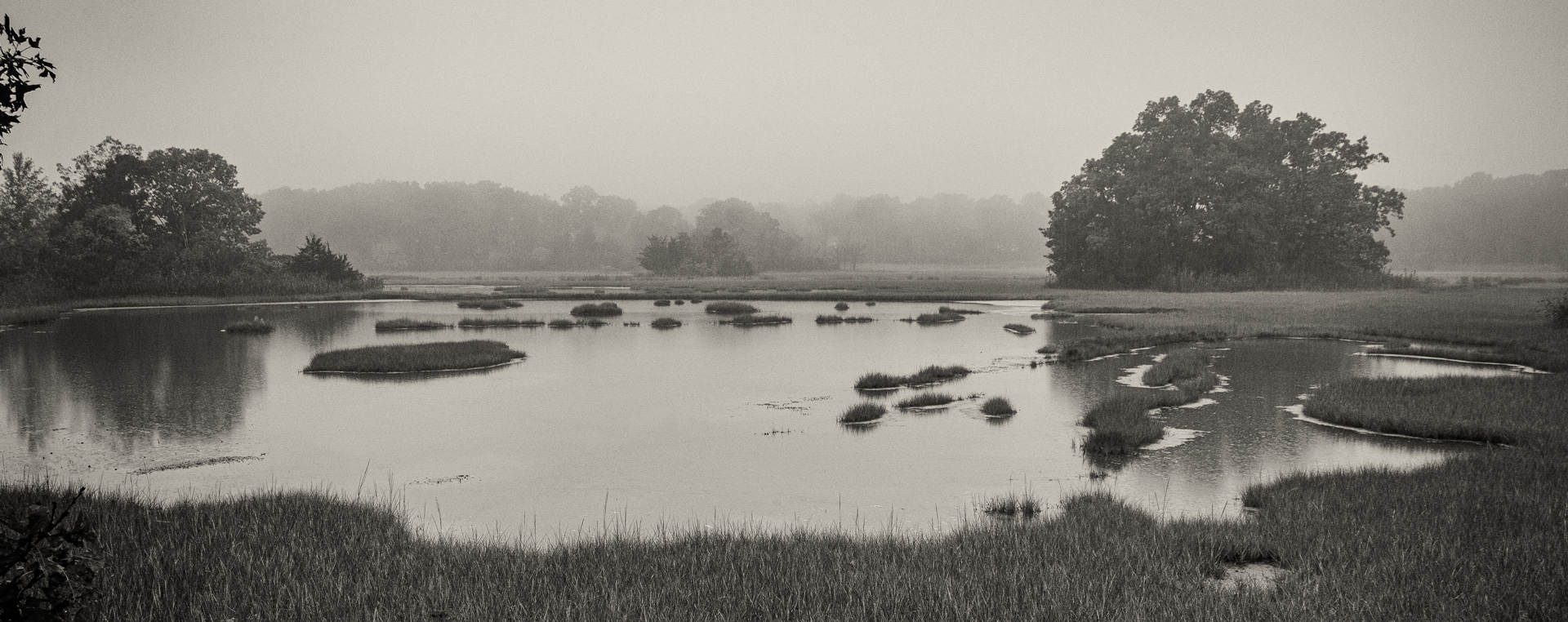 Newbury Marsh