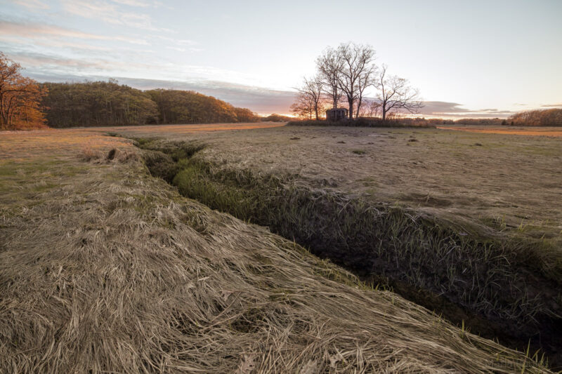 Marsh View