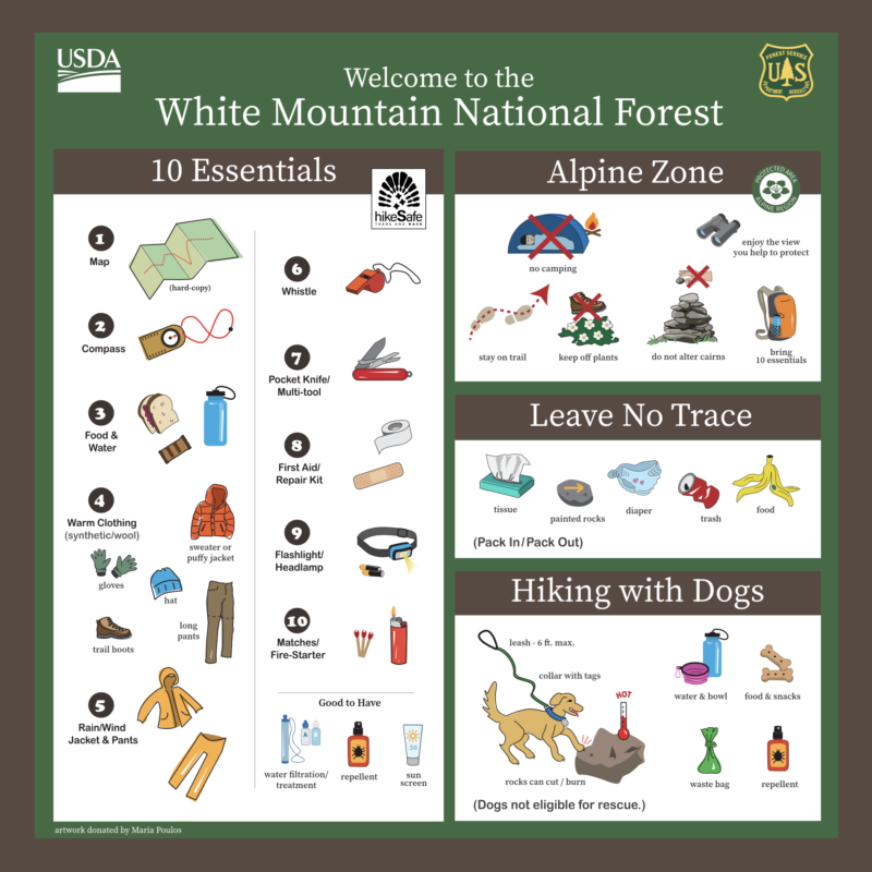 Hiking Essentials