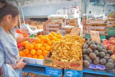 farm-20150829_boston-farmers-market_0156-1600px-v2