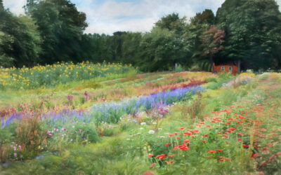 farm-flower-newbury